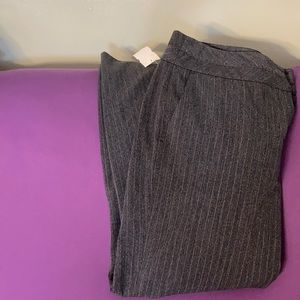 Women’s dress pants